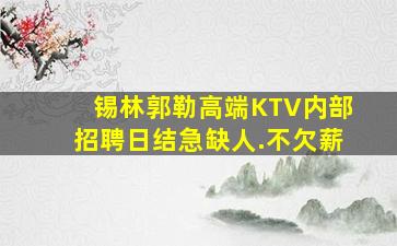 锡林郭勒高端KTV内部招聘日结急缺人.不欠薪